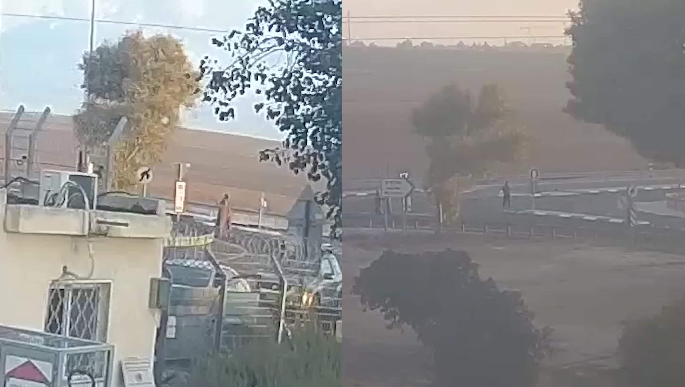 split screen.mp4